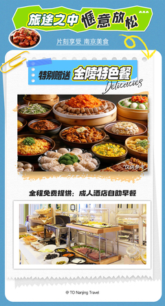 南京3日2晚跟团游·BOSS直播推荐 五星旅行社接待品质保证【古都南京】赠秦淮河游船 纯玩精致团『升级5钻酒店 含5星自助早』品南京特色本地菜 高餐标50元 |牛首山&报恩寺|中山陵&总统府|夫子庙&老门东