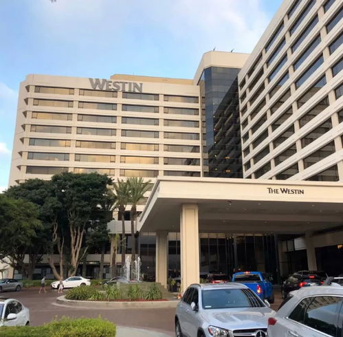 降学费 包下五星级酒店当宿舍,这些美国高校的留学生太太太幸福了