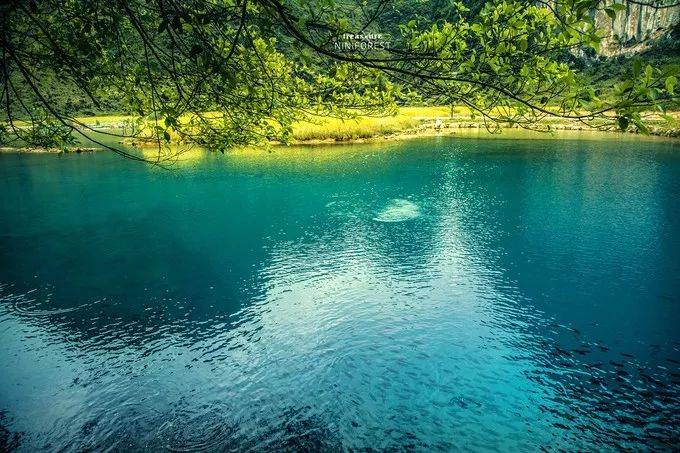 德保红叶森林公园梦幻红枫湖!999元纯玩醉美红叶谷、“中国最美瀑布”德天跨国大瀑布、“西南三大名泉”靖西鹅泉豪叹高端五星酒店!