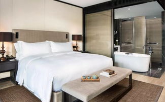 东钱湖畔国际五星酒店 颠覆想象的奢华体验与超值钜惠