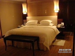 超越五星 探索白金五星级酒店的极致奢华与个性化服务